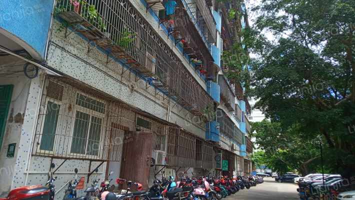 茶叶大院外景图