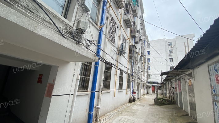 元件厂家属区外景图