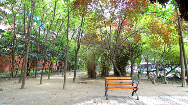 成都燃灯寺东街11号房价怎么样燃灯寺东街11号房源户型图小区车位交通