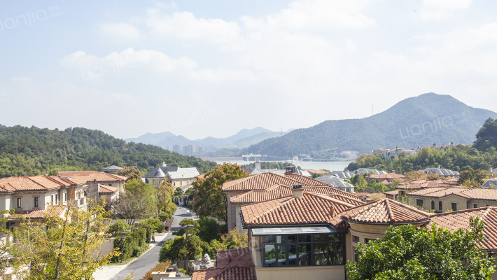 岛上锦源外景图