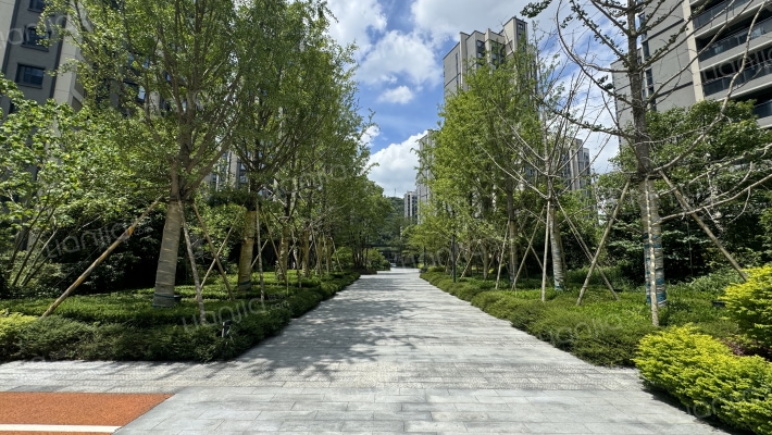 欢乐华庭北区(四组团)外景图