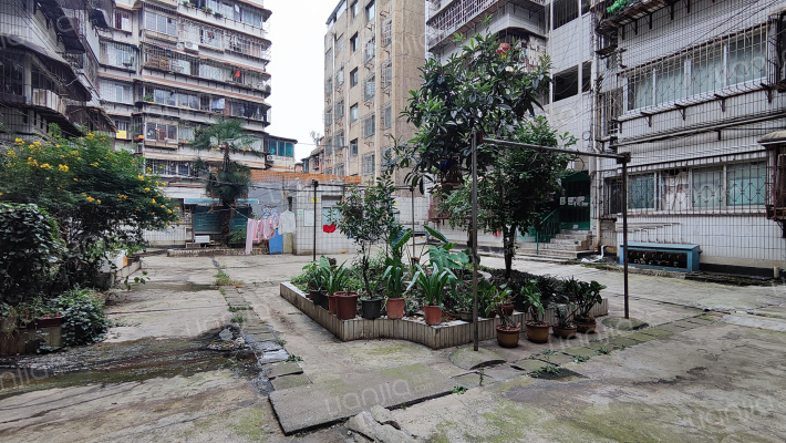 飞机坝二七路15号外景图