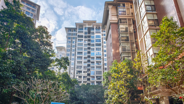 云星城市春天西区外景图