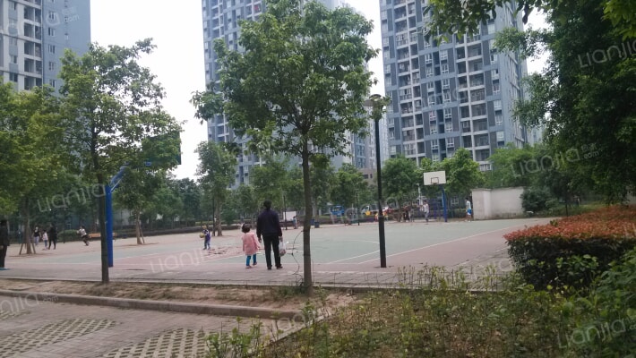 两江名居D区外景图