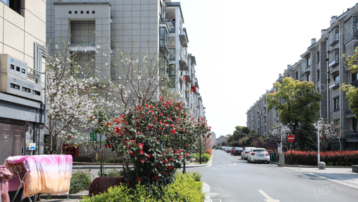 美龙家园外景图