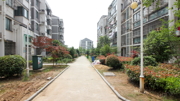 金东城雅居外景图