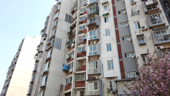 翠岭银河外景图