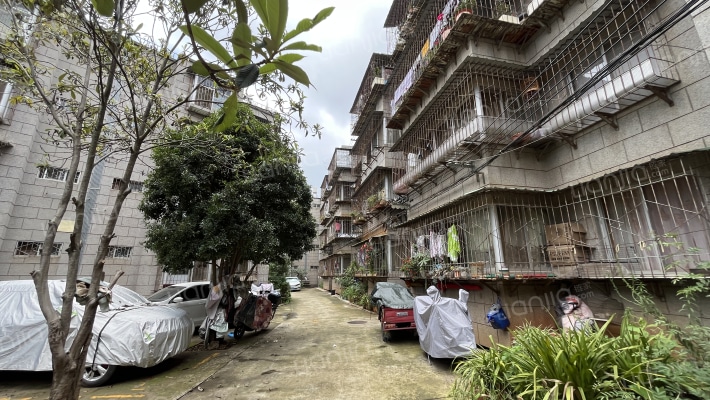 凉亭轧钢厂宿舍外景图