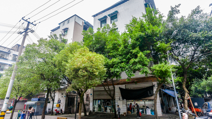 兴旺三路16号外景图