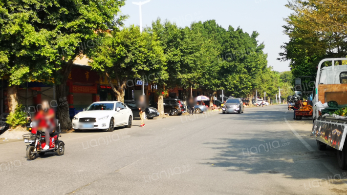 金棕榈园外景图