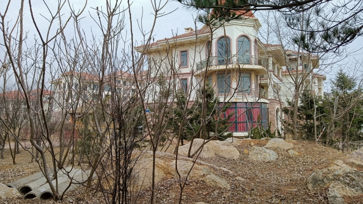 金座庄园外景图