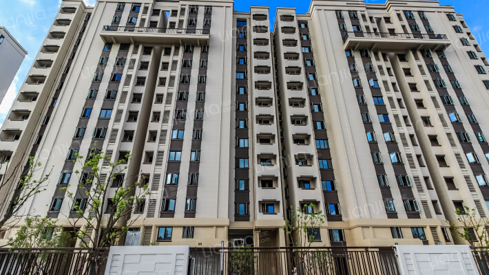 中南菩悦锦庭外景图