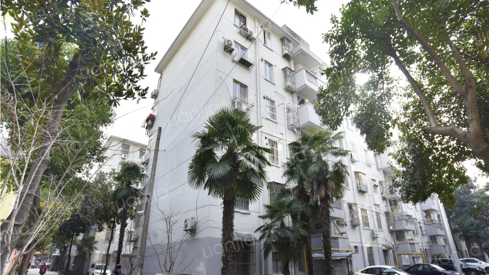 中桥三村外景图