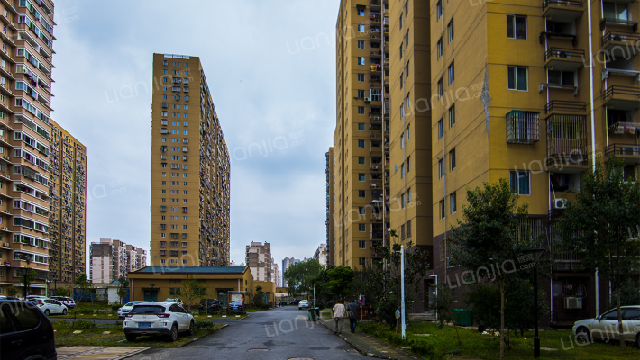 盛世邻里外景图