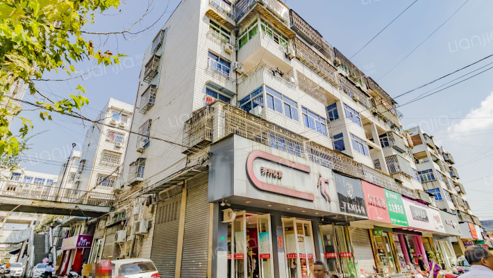 紫荆花组团外景图