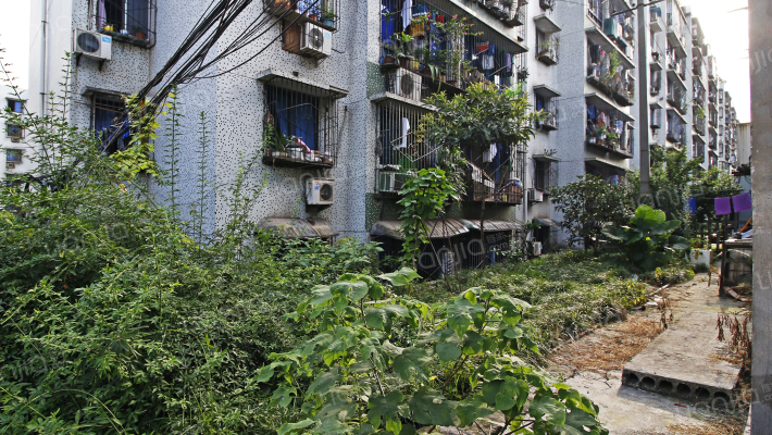 九龙花园二小区外景图