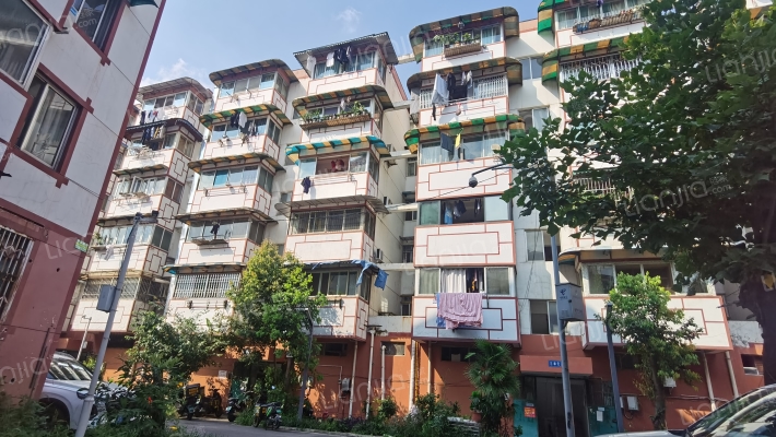 大观里7号外景图