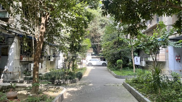 柿子巷9号外景图