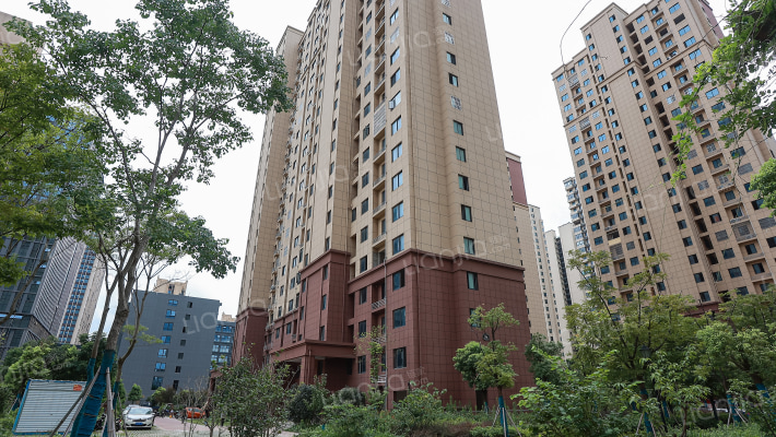 龙谷华庭外景图