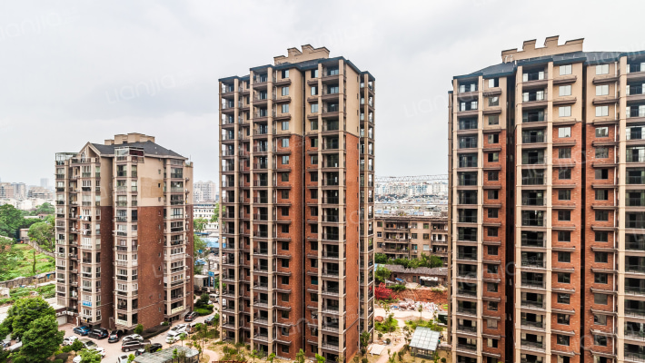 龙华凤凰城外景图