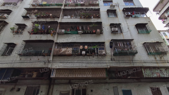 育才五巷外景图