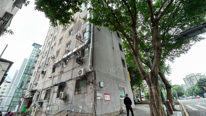 金剑路364号附9号外景图