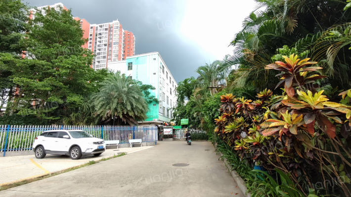 万瑞尚成外景图