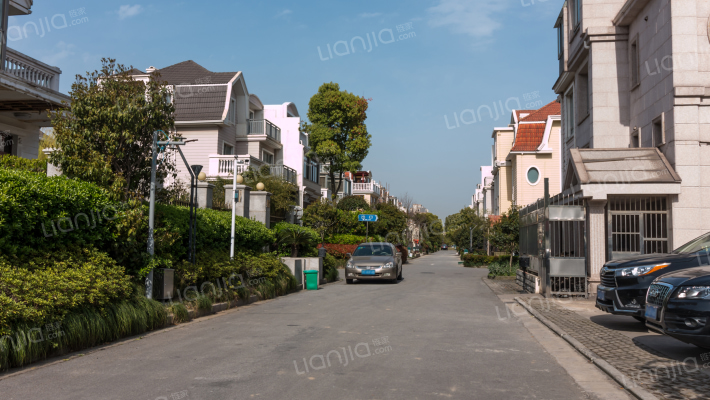 金兰雅墅外景图