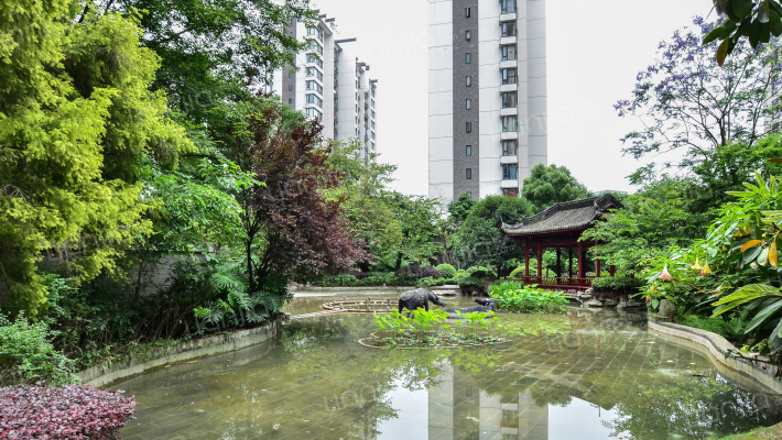 金科东方雅郡外景图