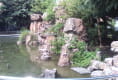 阳城景园5