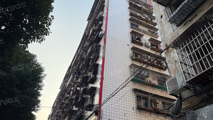 宁波路255号外景图