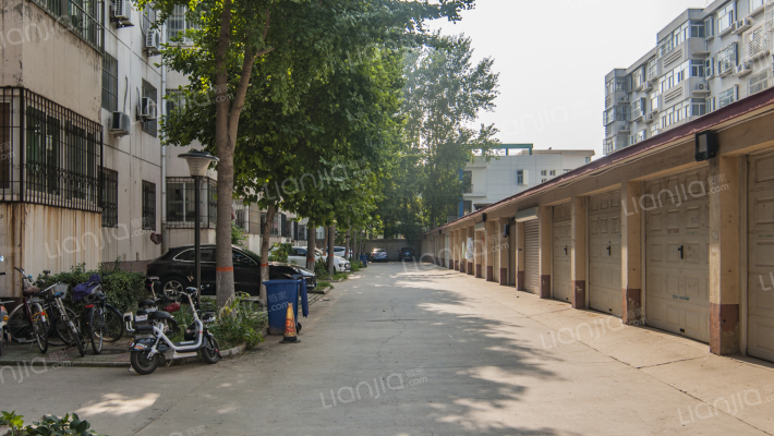 青旅花园外景图