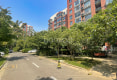 白桦林居小区24