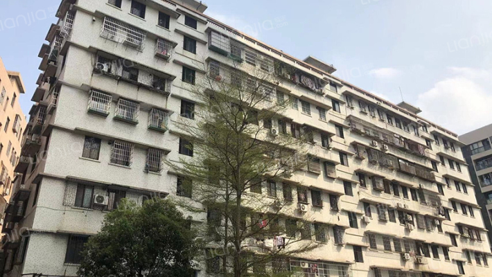 平洲医院职工宿舍外景图