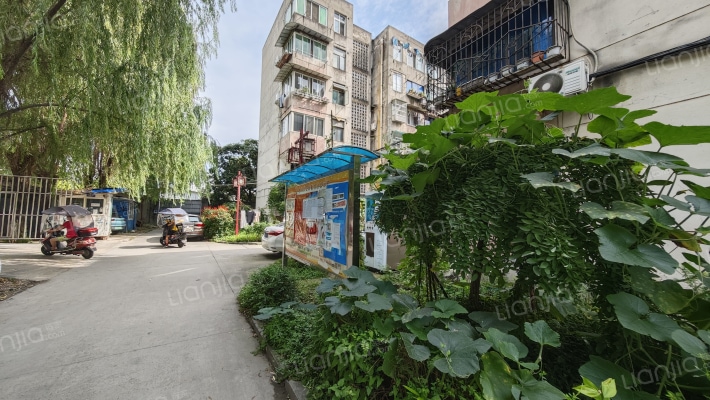 老交校家属院外景图