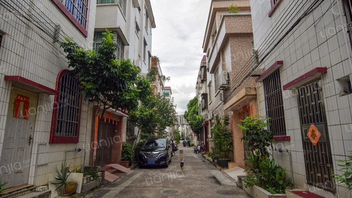 岐兴大街十巷外景图