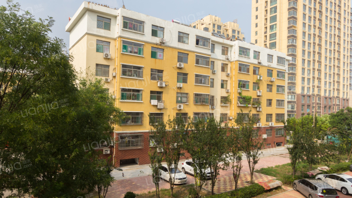 龙御九级村外景图