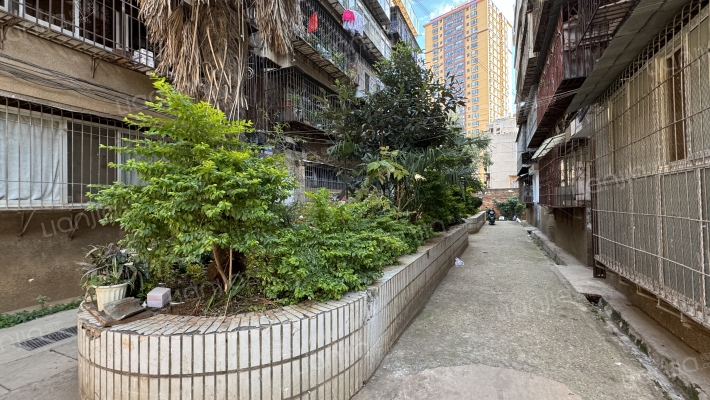 向阳新村外景图