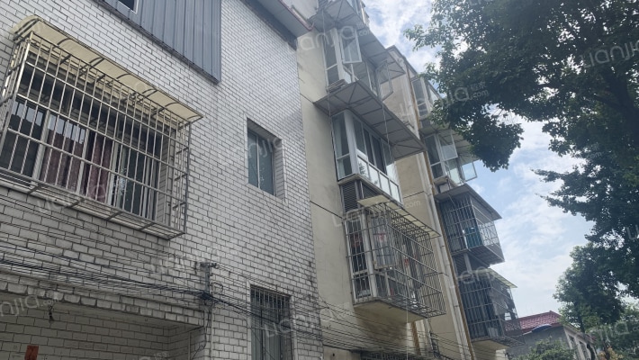 调露寺东路88号附11号外景图