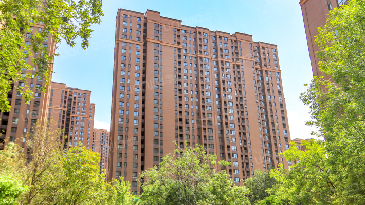 公园道泓苑外景图