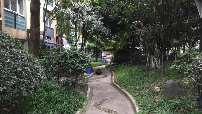 金沙西园二期外景图