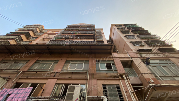 跃华路547号外景图