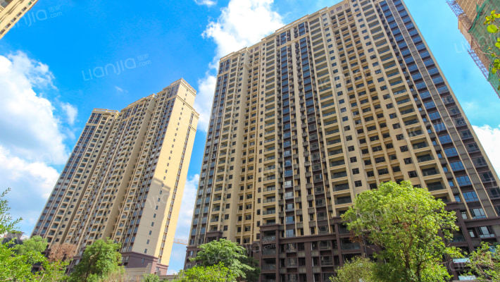 成峰水岸丽都外景图