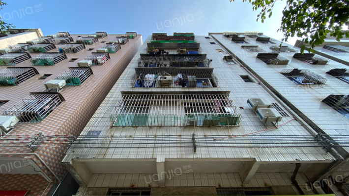 跃华路516号外景图