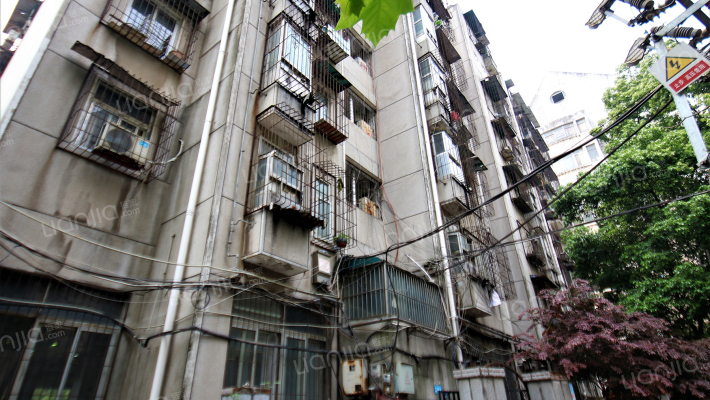 市技监局洪山分局宿舍外景图