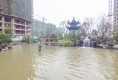 金义颐景园6