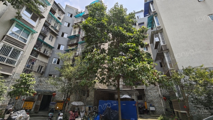 金带街259号外景图