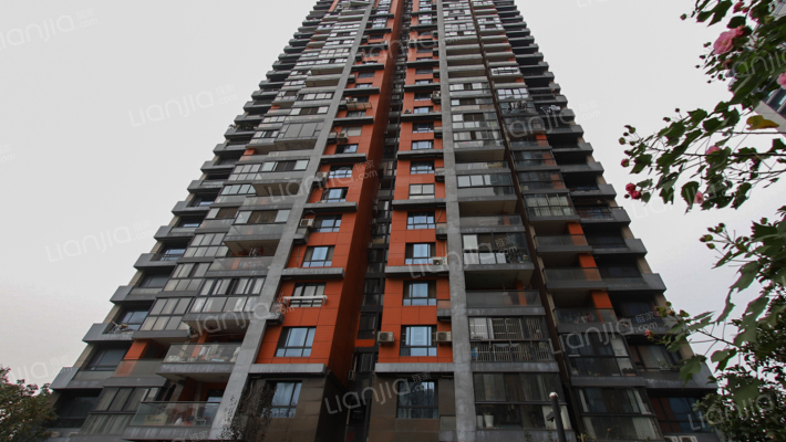 江南国美家园外景图