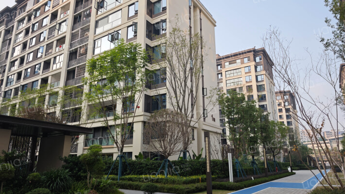 海成天生天城D区外景图