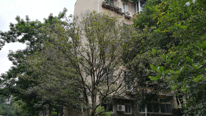 交大南园外景图